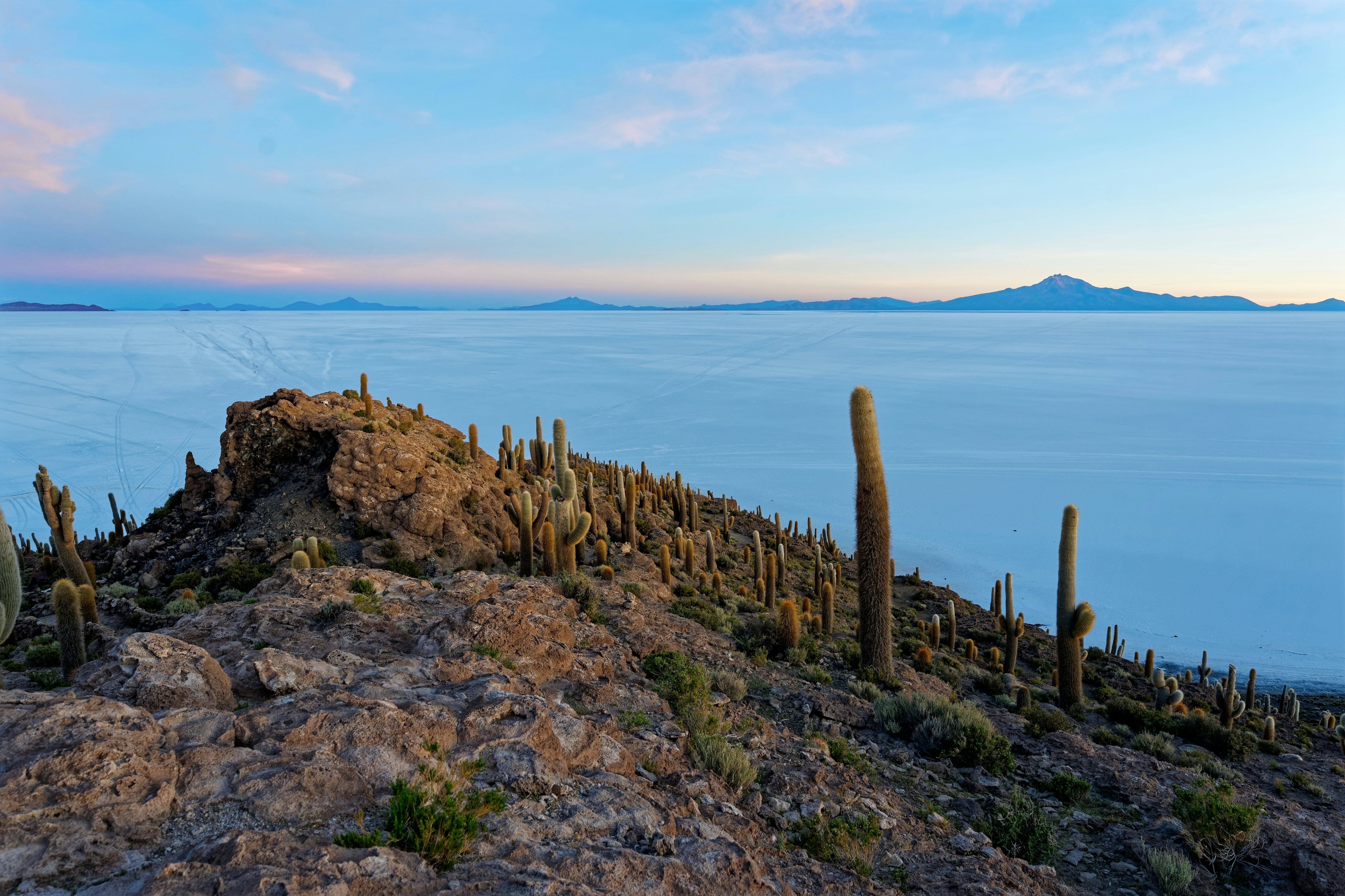 学生管理系统含用户登录系统(Java)