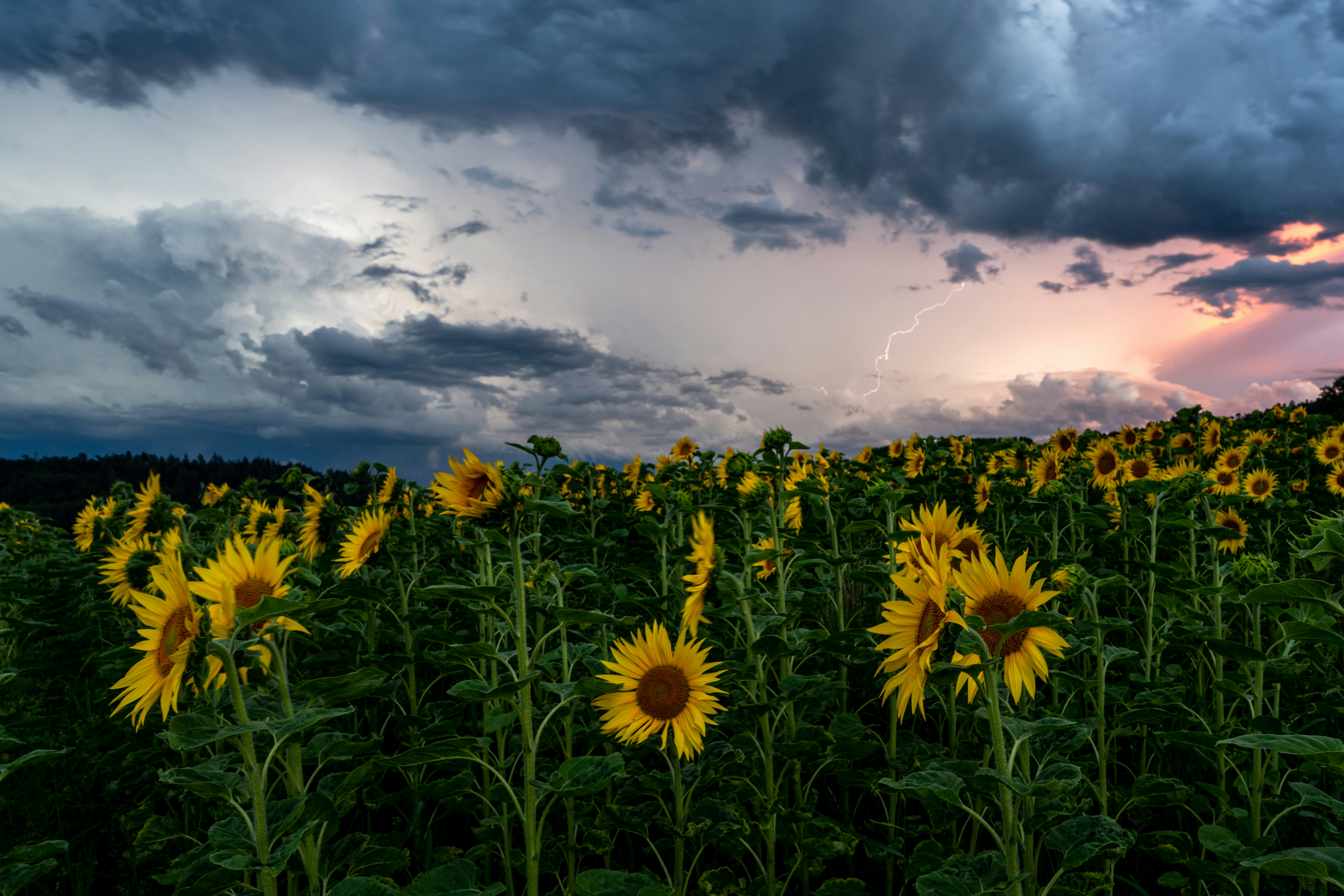 RabbitMQ学习笔记