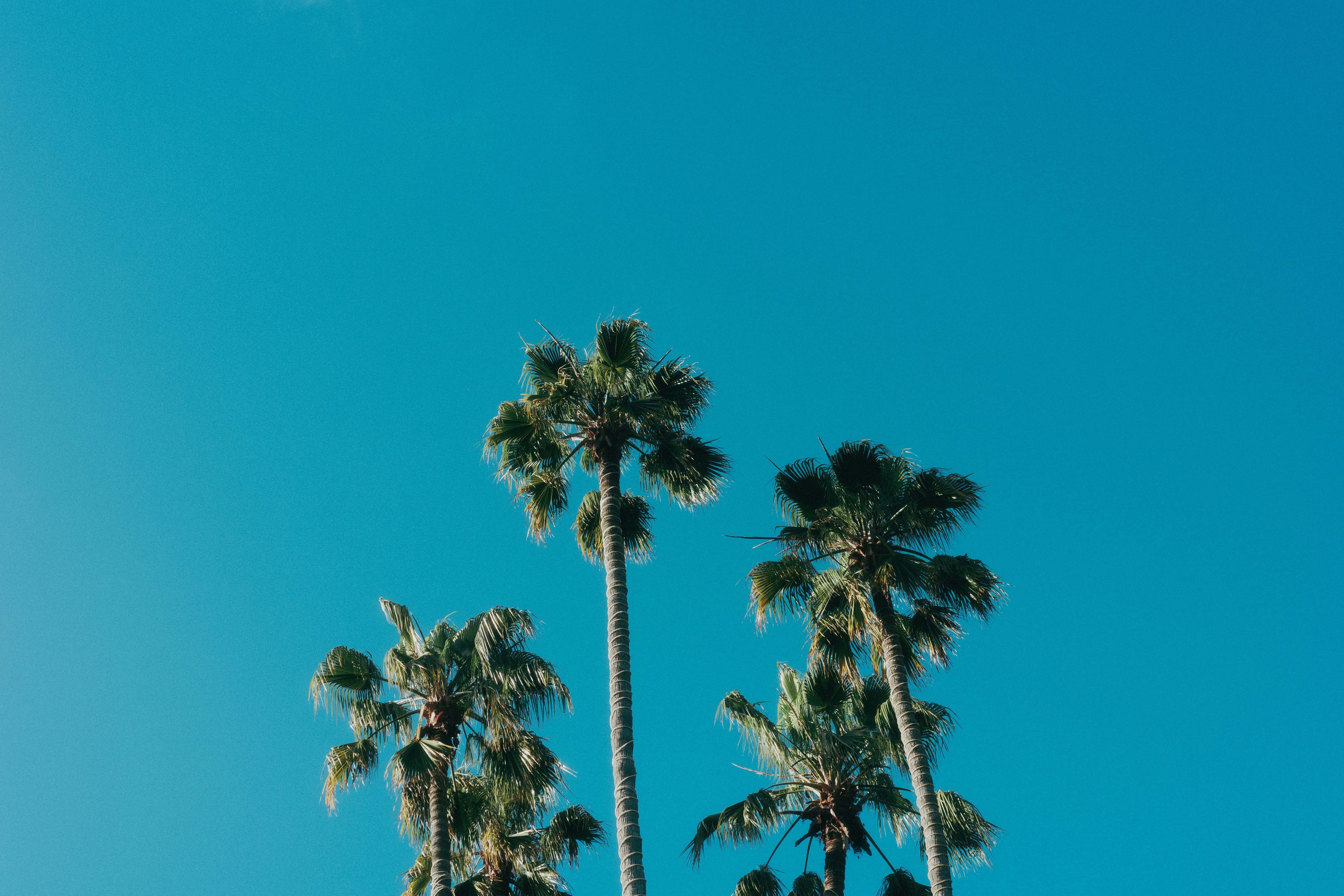 智能体搭建-智能医疗问诊