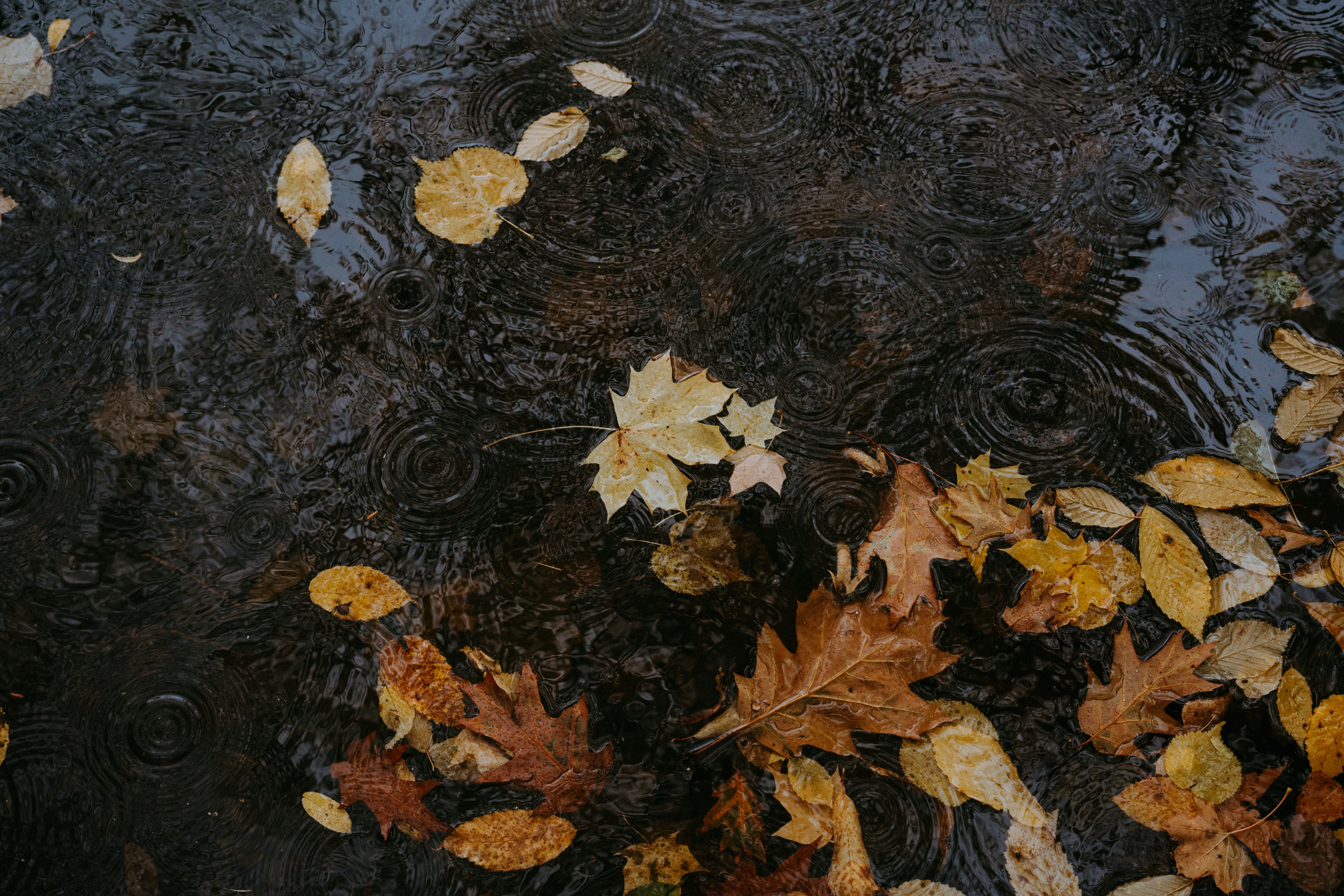 基于SpringAI使用云端大模型解析OSS中的文件实现多模态理解对话